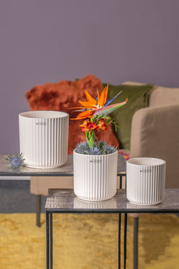 Deko# Geschenke# Ostern# Tiziano# Frühling# Frühjahr# dekoriert# happy# Schale# Keramik# Lillyano# Kübel