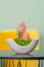 Laden Sie das Bild in den Galerie-Viewer, Tiziano Deko Schale Piceno weiß creme
