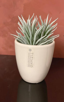 Deko# Geschenke# Ostern# Tiziano# Frühling# Frühjahr# dekoriert# happy# Schale# Keramik# Lillyano# Kübel