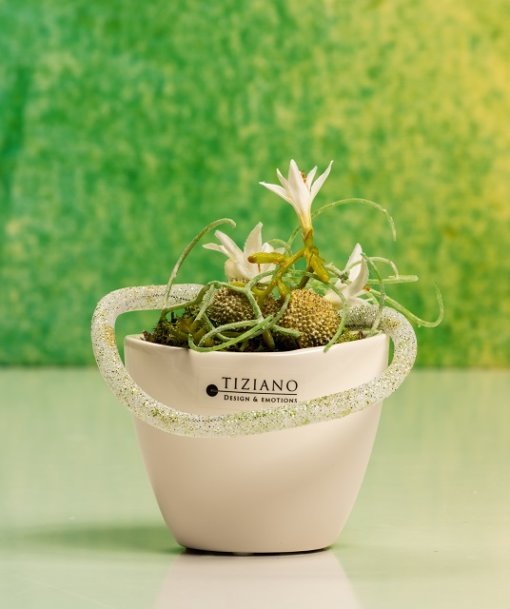 Tiziano Blumentopf Aranza - Lillyano