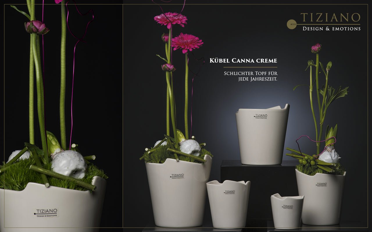 Tiziano Blumentopf Canna - Lillyano
