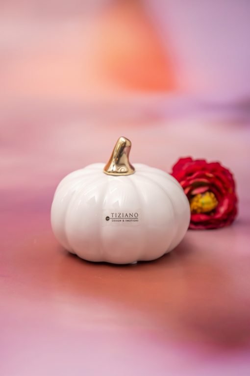 Tiziano Dekoobjekt Mini Kürbis Boglia weiß - creme - Lillyano