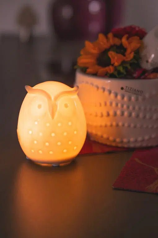 Tiziano Eule Aria led + Timer Porzellan weiß creme - Lillyano