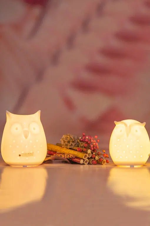 Tiziano Eule Aria led + Timer Porzellan weiß creme - Lillyano