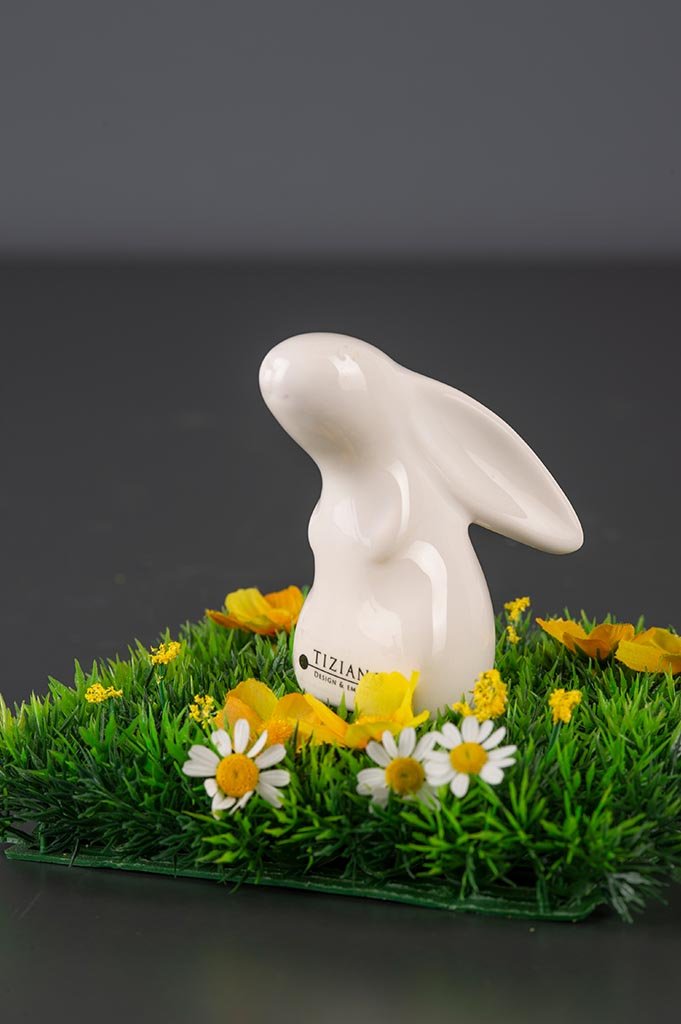 Tiziano Hase Felipe New schnuppernd - Lillyano