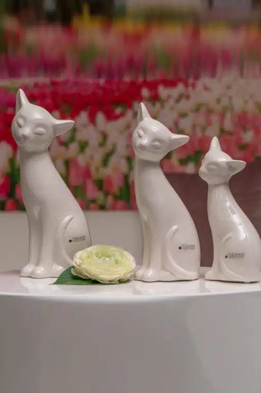 Tiziano Katze Loreana creme weiss - Lillyano