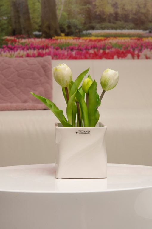 Tiziano Kübel Tenuta weiß - creme - Lillyano