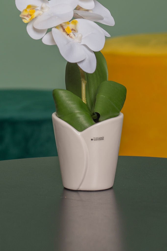 Tiziano Minikübel Romina 8 cm - Lillyano