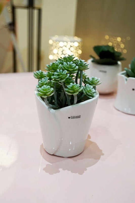 Tiziano Minikübel Romina 8 cm - Lillyano