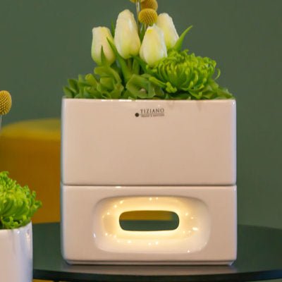 Tiziano Schale Quadro mit LED und Timer hoch - Lillyano