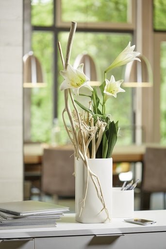 Tiziano Vase Crosia 21 cm creme weiss - Lillyano