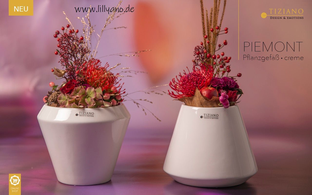 Tiziano Vase Piemont creme weiss Tulpenvase - Lillyano