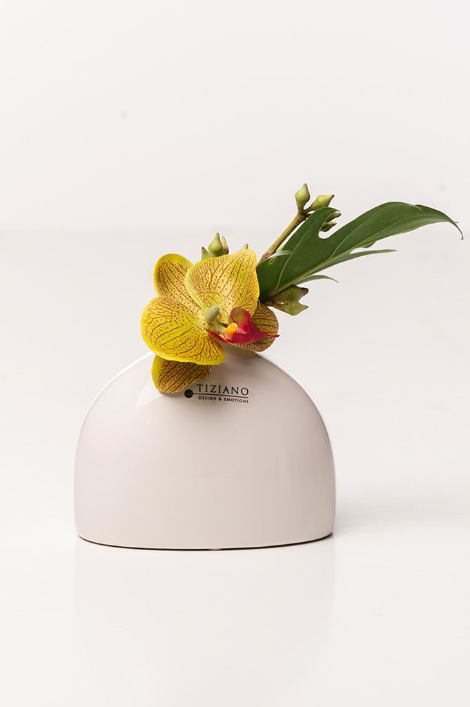 Tiziano Vase Suni breit creme - Lillyano
