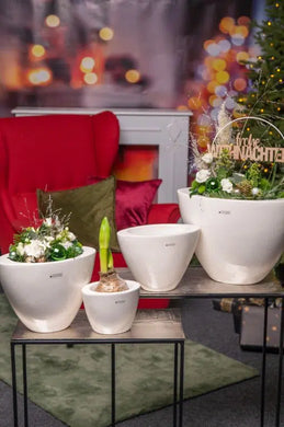  www.lillyano.de   Ihr Onlineshop für Tiziano, Deko und Geschenke
Tiziano#Deko#Frühling#Frühjahr#Ostern#Geschenke