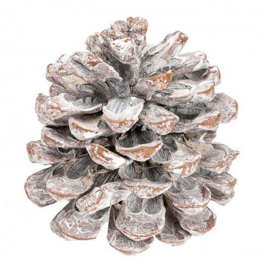 Zapfen Pinea gross weiss - Lillyano