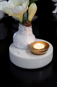 Tiziano Schale Zena für Glas Trixy rund weiß creme